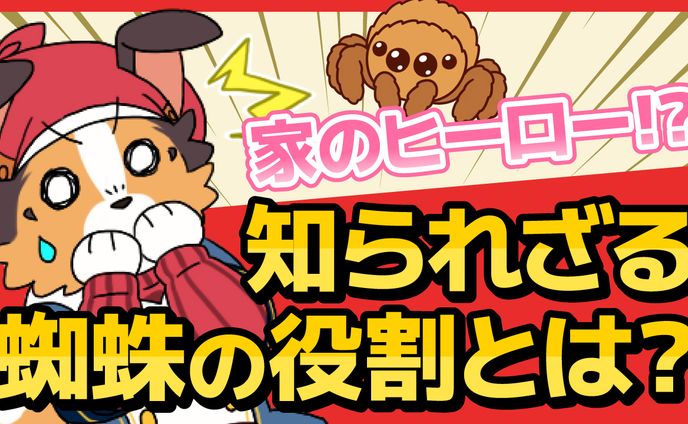 youtubeサムネ、取材記事