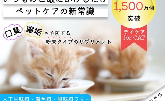 web design、instagram投稿