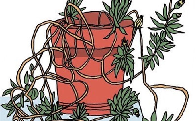 Sketching Complexity.
..

Be sure to check out the full size illustrations on the website.
..
#illustration #drawing #linedrawing #landscape