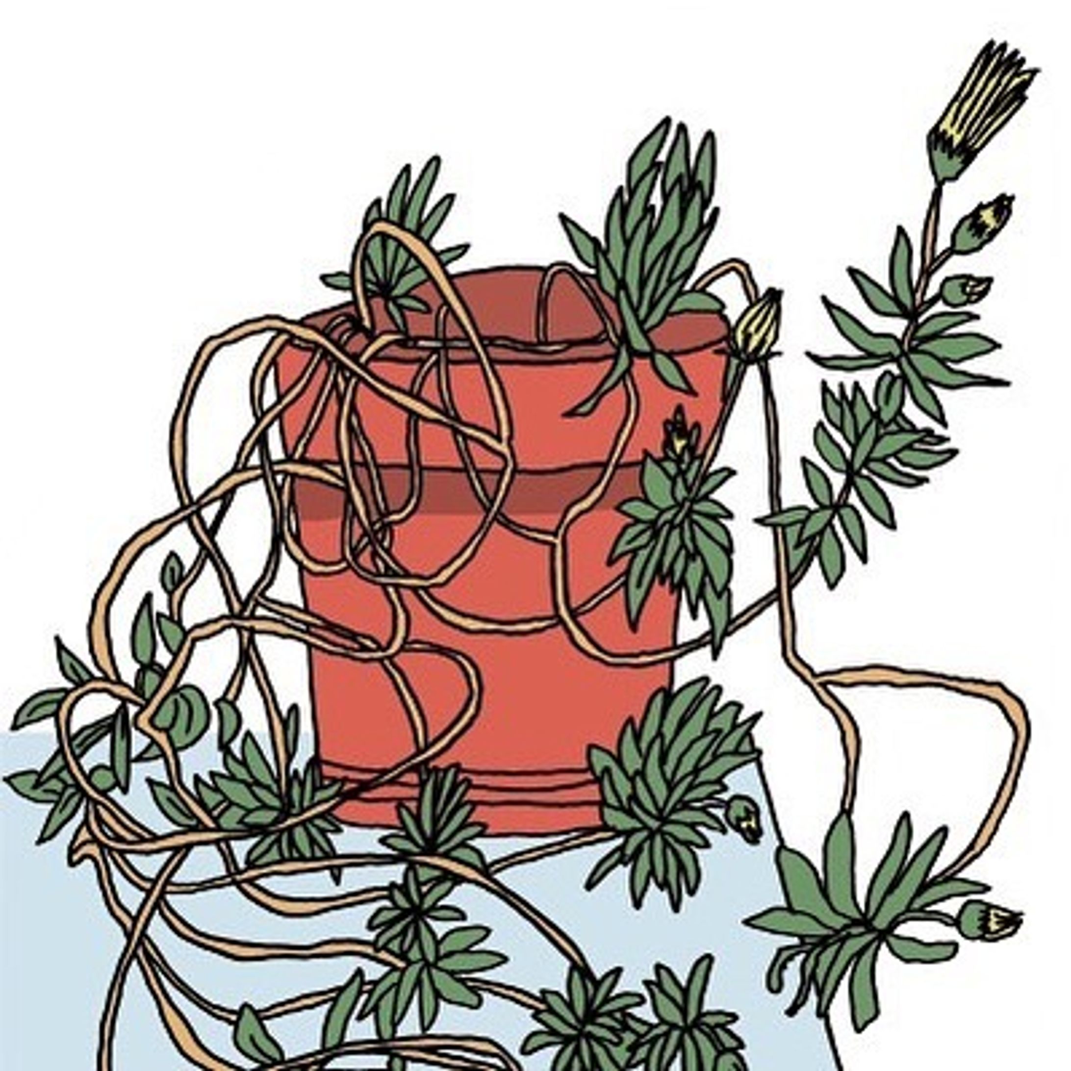 Sketching Complexity.
..

Be sure to check out the full size illustrations on the website.
..
#illustration #drawing #linedrawing #landscape-1