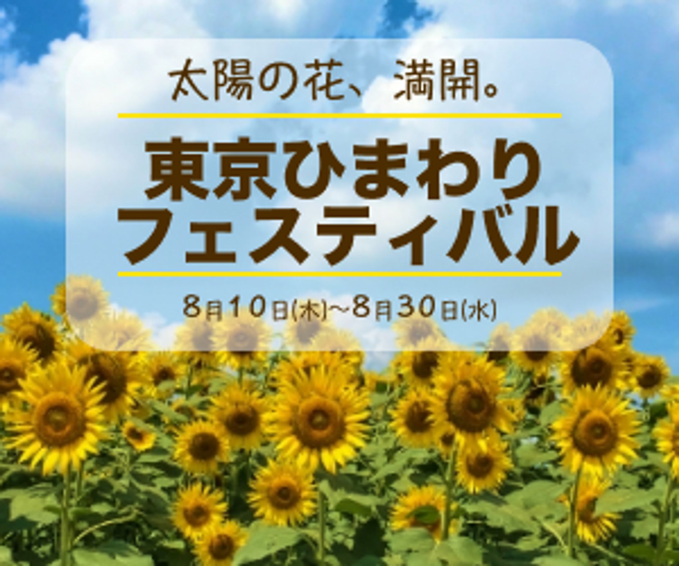【バナー】ひまわりフェスティバル-1