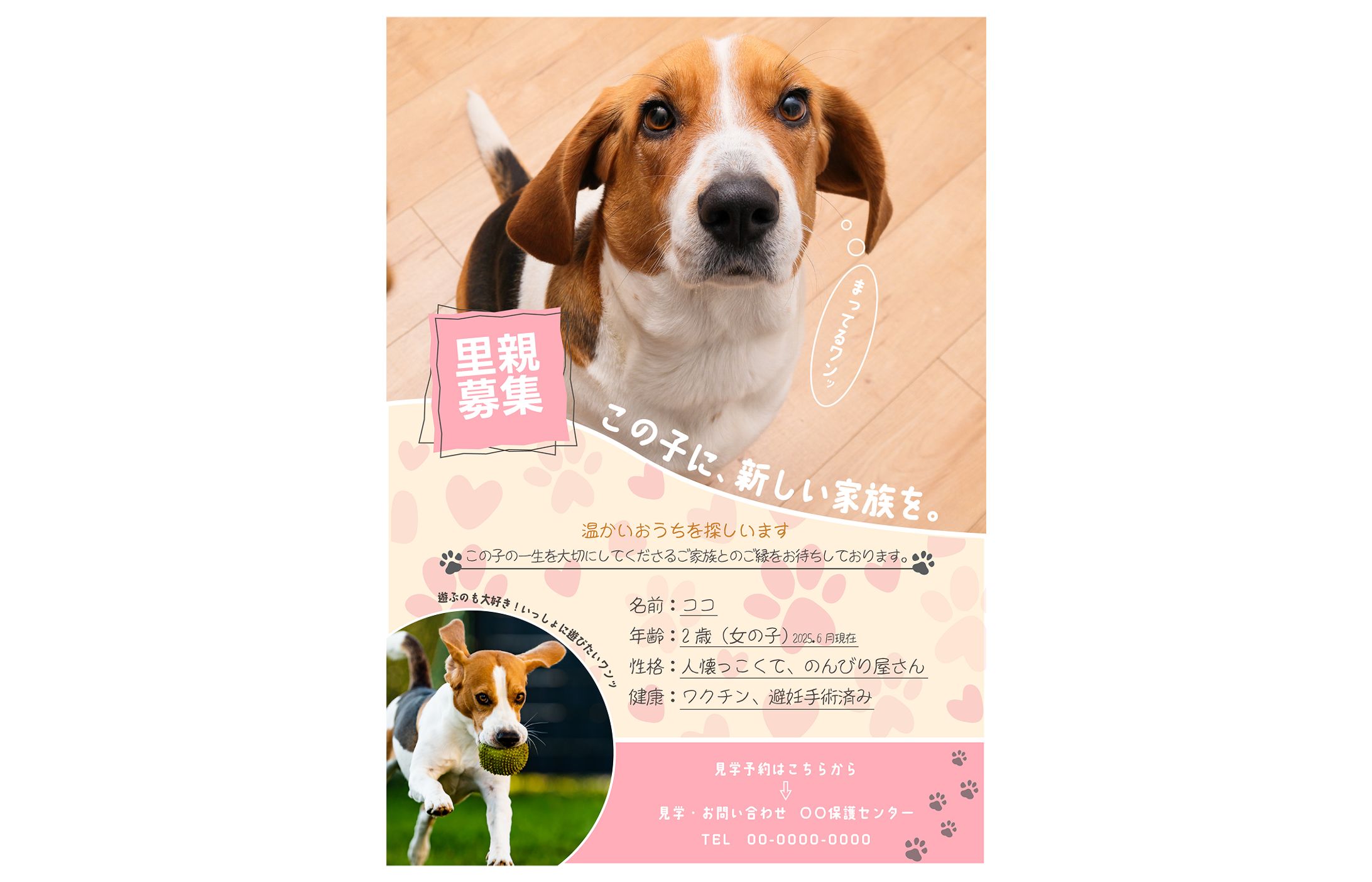 里親募集-1