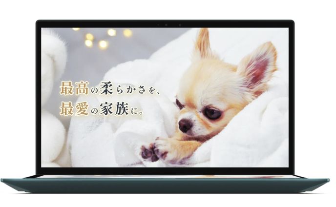 【LP】ペット用バスタオル