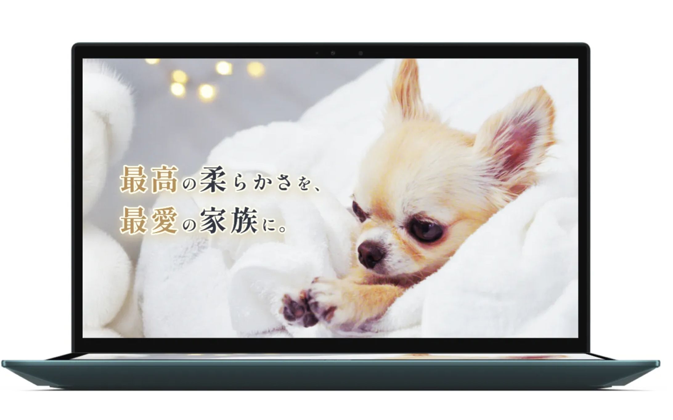 【LP】ペット用バスタオル-1