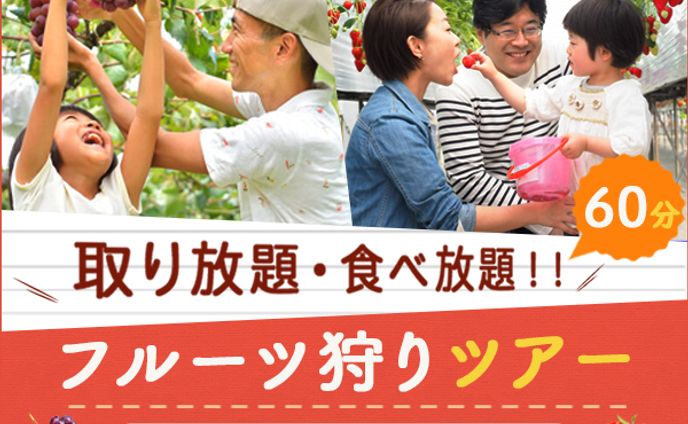 バナー：果物狩りツアー
