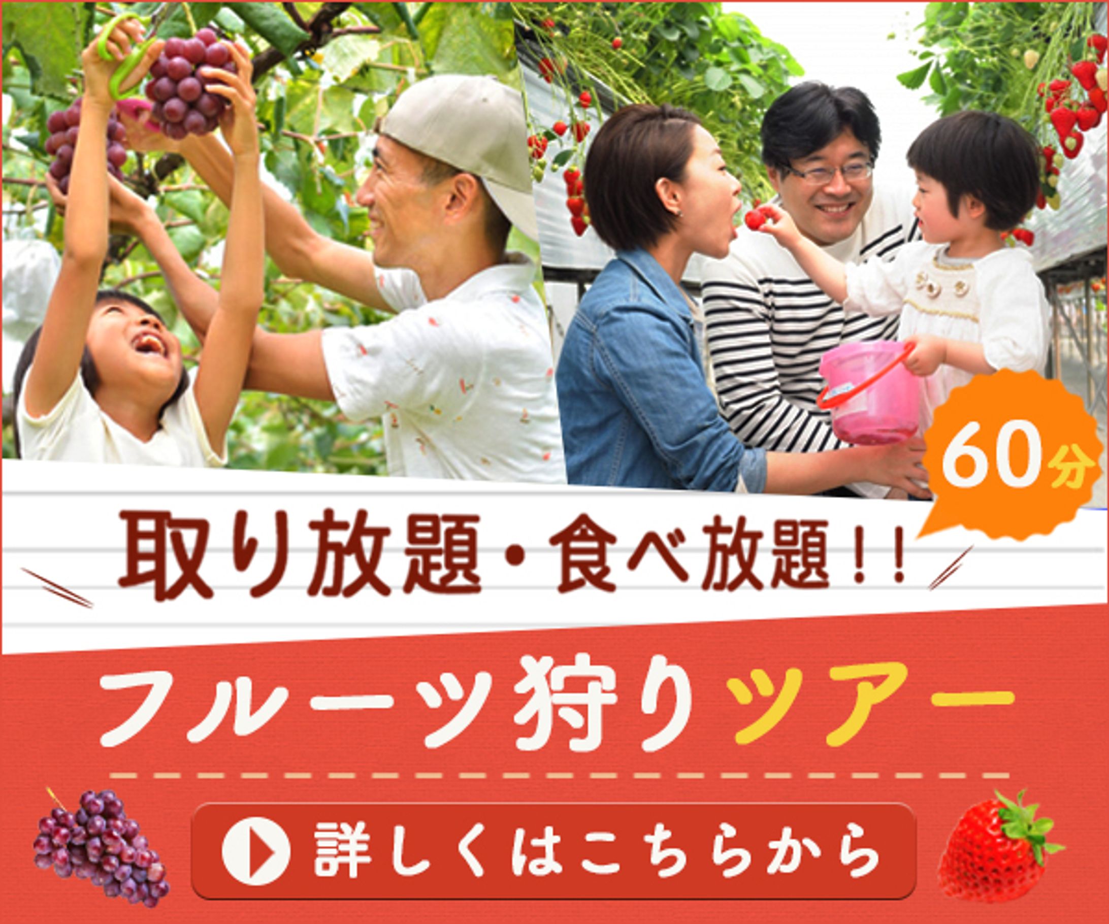バナー：果物狩りツアー-1