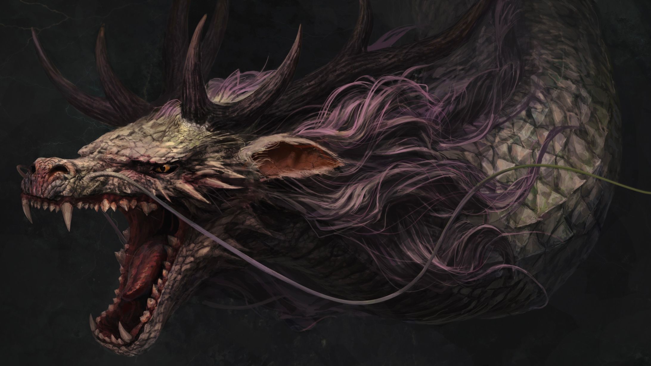 龍　頭部デザイン　　Japanese Dragon Head Design-1