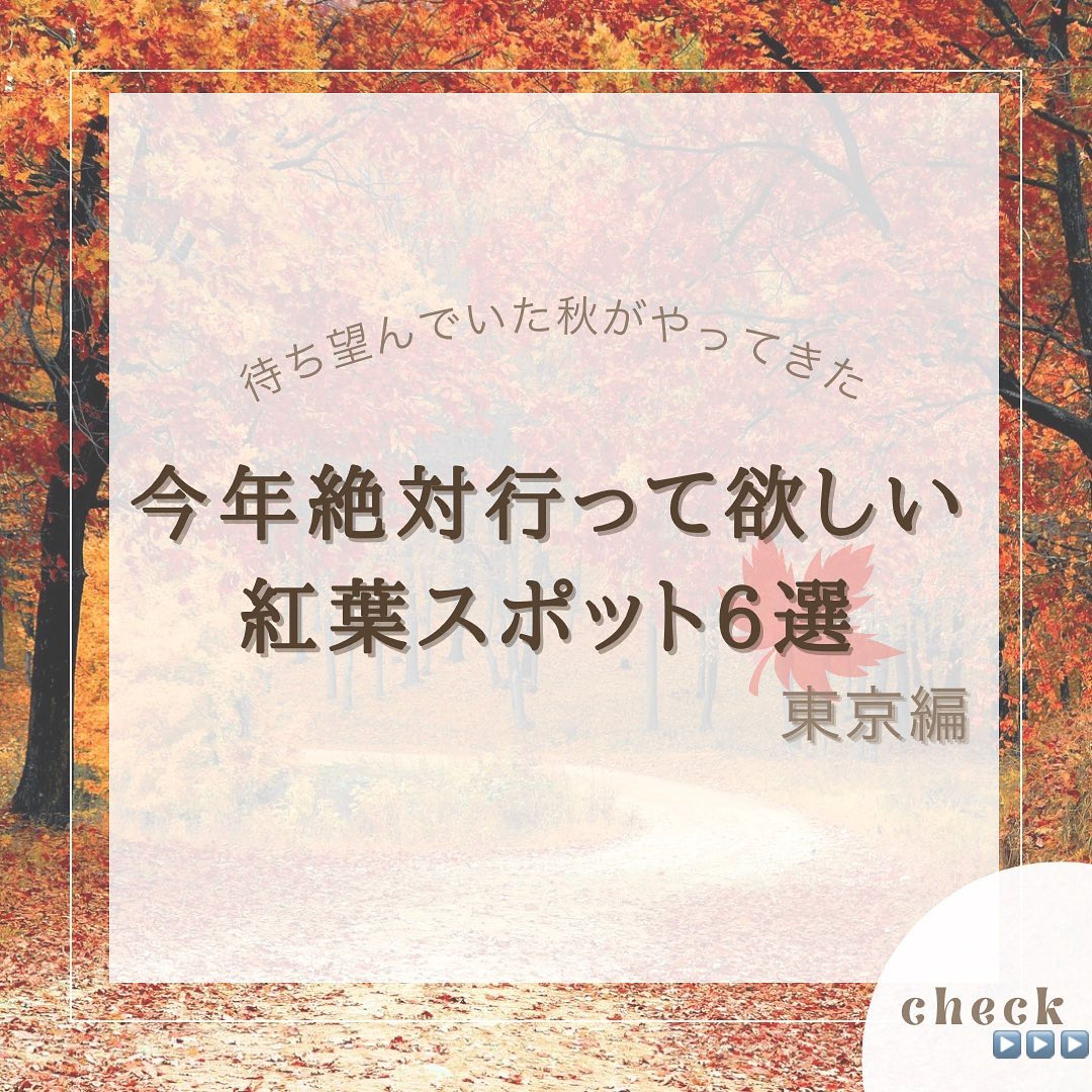 『紅葉スポット6選』をまとめてみました！
他にもオススメがあればコメントで教えてください🙇🏻‍♀️‪‪❤︎‬

2.#新宿御苑

3.#昭和記念公園

4.#日比谷公園

5.#高尾山

6.#六義園

7.#明治神宮御苑

@usatabi__u._.u_でメンションor
#うさたび🏷𓈒𓏸︎をつけて
おすすめのスポット教えてください✨️

.˚⊹⁺‧┈┈┈┈┈┈┈┈┈┈┈┈‧⁺ ⊹˚.
＼”オシャレな旅に”／を発信しますꪔ̤

︎✿人気観光スポット
︎✿おすすめ旅行プラン
︎✿お得なクーポン情報

@usatabi__u._.u_

.˚⊹⁺‧┈┈┈┈┈┈┈┈┈┈┈┈‧⁺ ⊹˚.
#旅行#観光#秋#紅葉#紅葉スポット#紅葉めぐり  #紅葉ライトアップ  #紅葉巡り  #紅葉の季節  #紅葉がきれい  #オシャレ旅 #オシャレ観光 #オシャレスポット#映えスポット  #インスタ映え #うさたび#usatabi #旅女子 #一人旅  #旅行好き-1