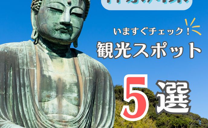 サムネイル、珍スポット