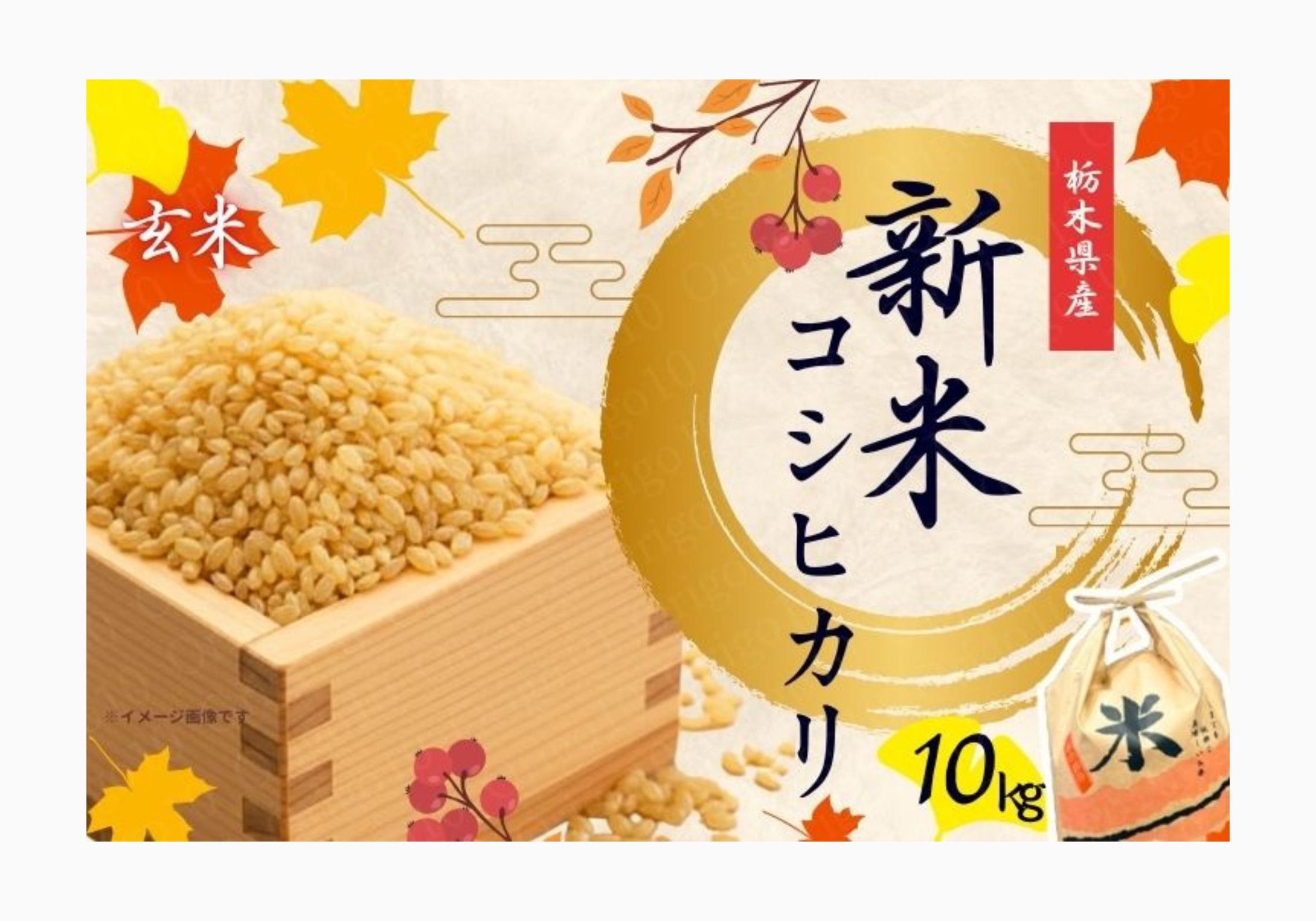 栃木県産【新米】コシヒカリの商品ページ制作-1