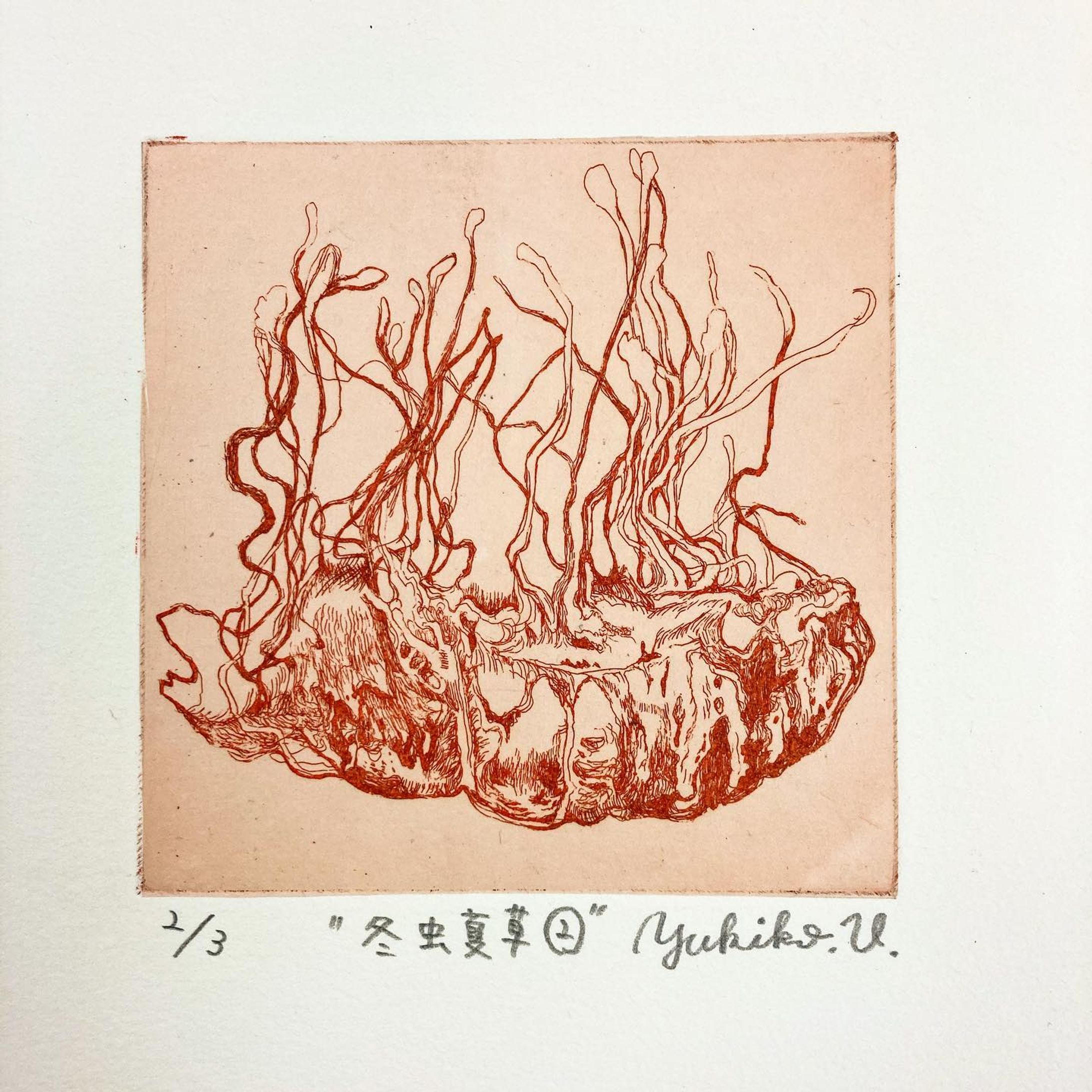 今年初制作^ - ^
カダケスの準備も！

#銅版画
#etching
#雁皮刷り
#行方不明になりました-1