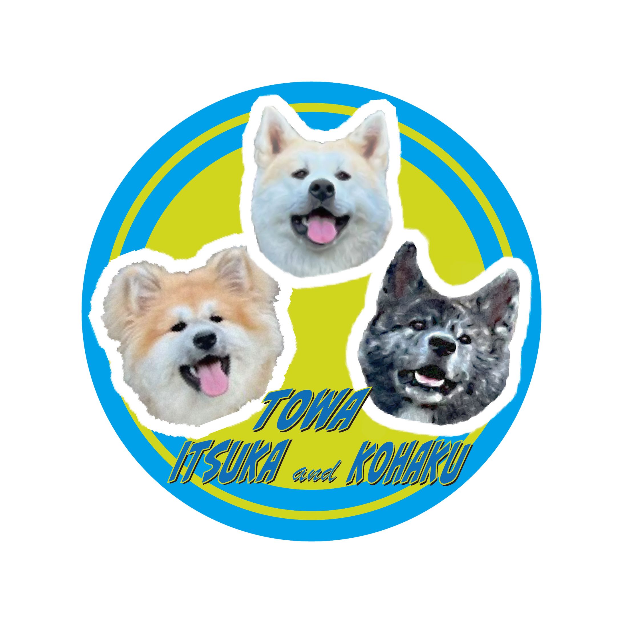 towakohakuitukastecker-1