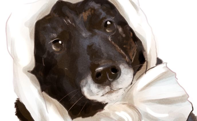 ほっかむりした可愛いちゃん