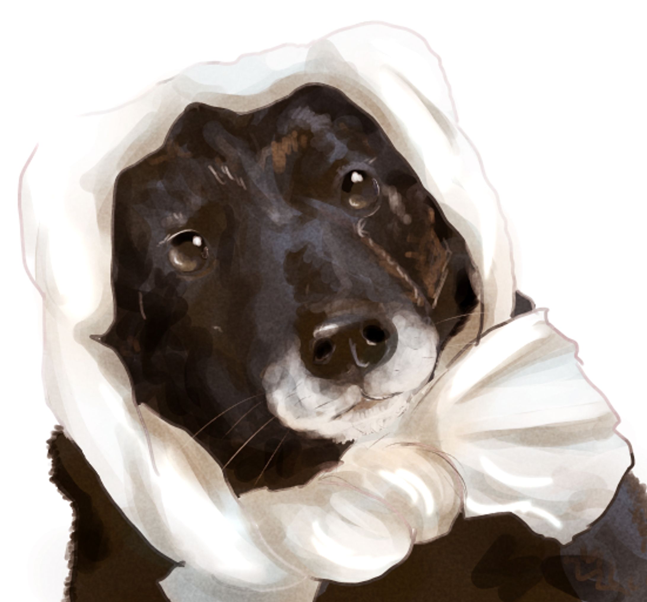 ほっかむりした可愛いちゃん-1