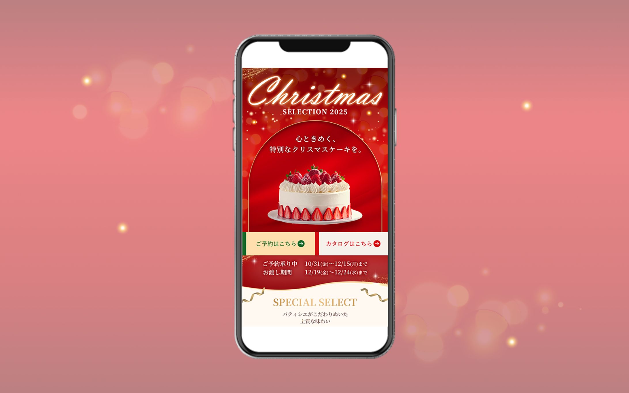 クリスマスケーキ　FV-1