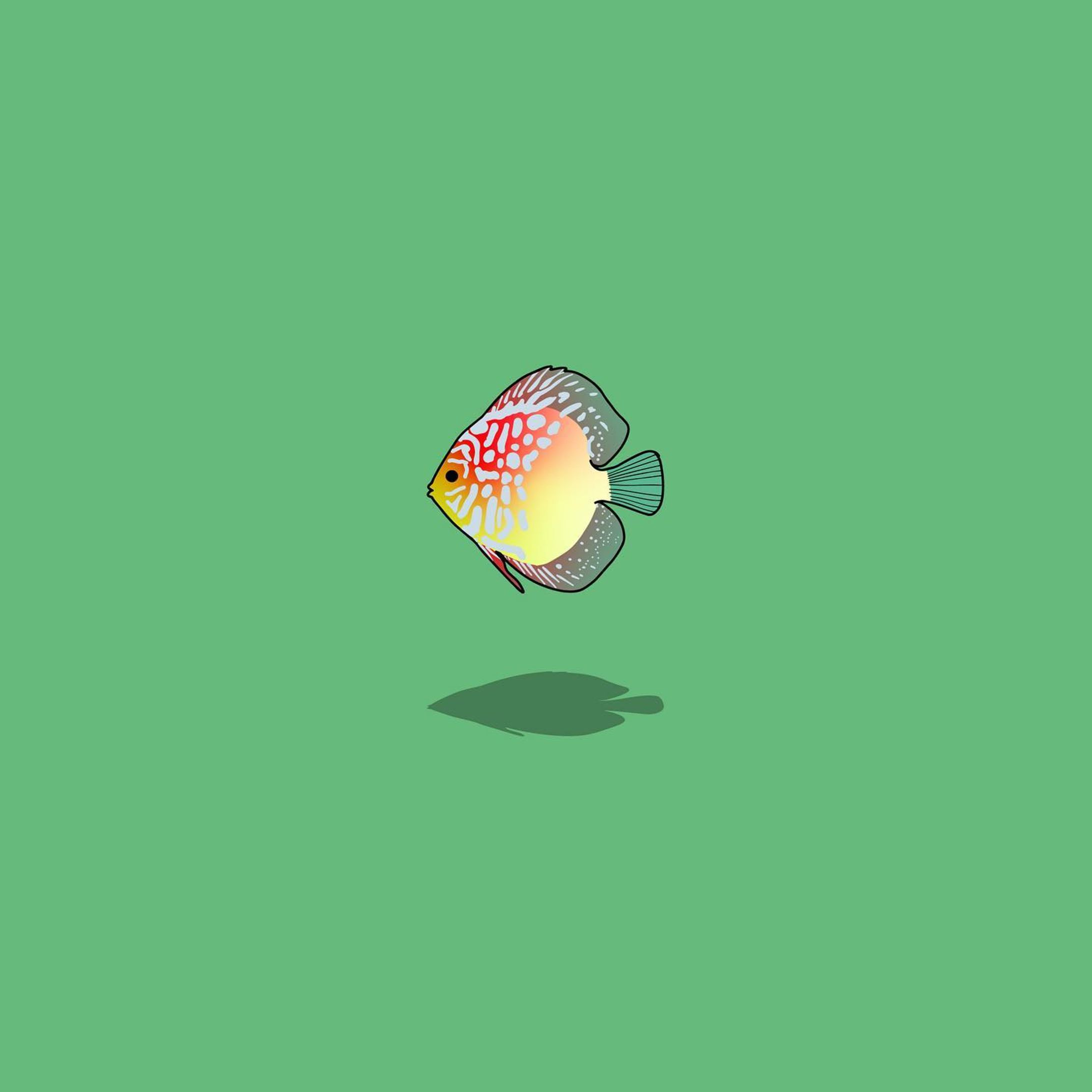 ディスカス-1