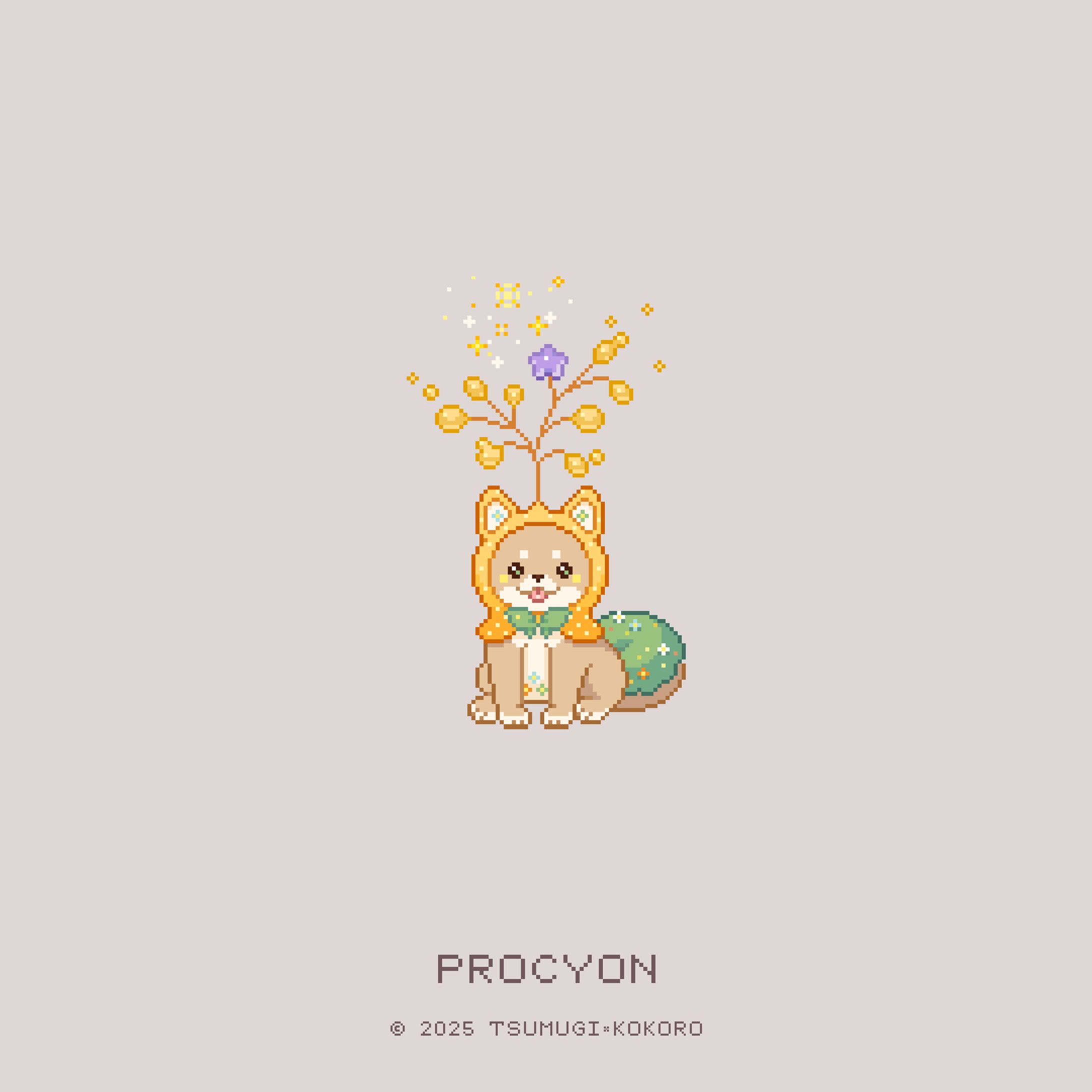 プロキオン-1