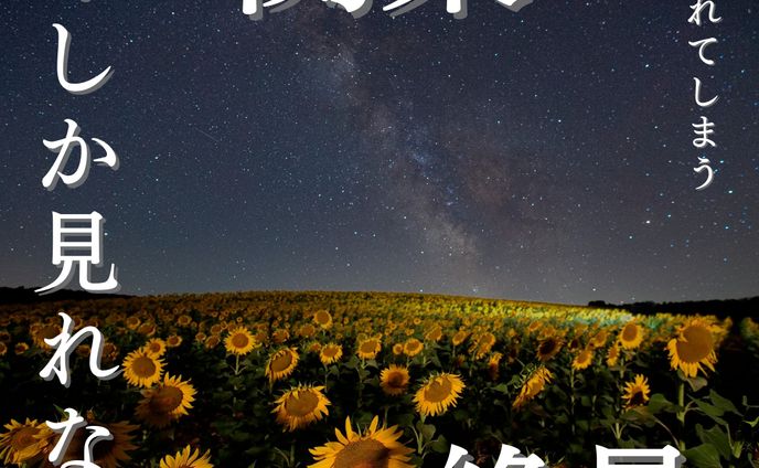 絶景スポット