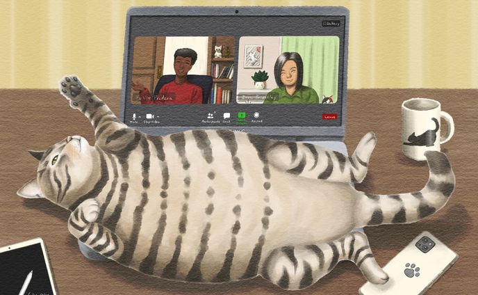 そこはベッドじゃありませんよ～ビデオ会議中の猫様あるある