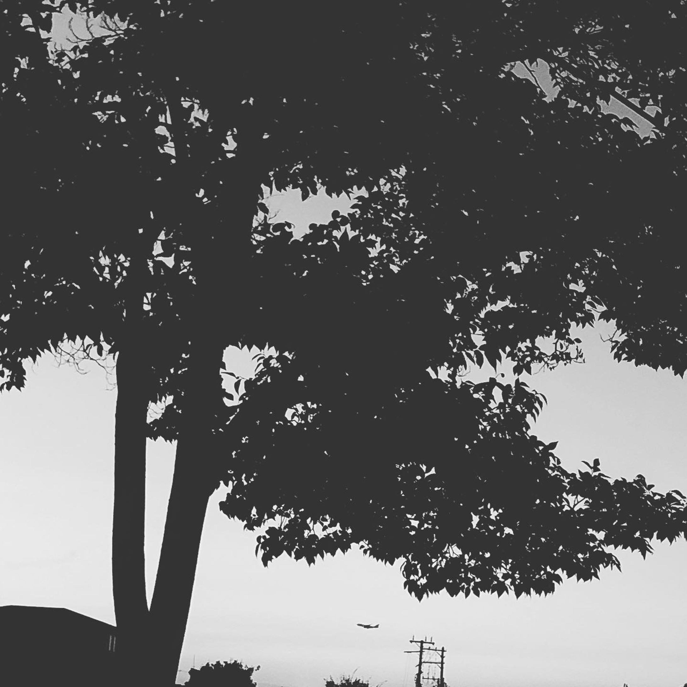 #白黒#モノクロ#景色#Photo-1
