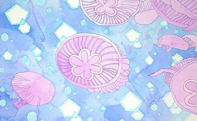 クラゲ