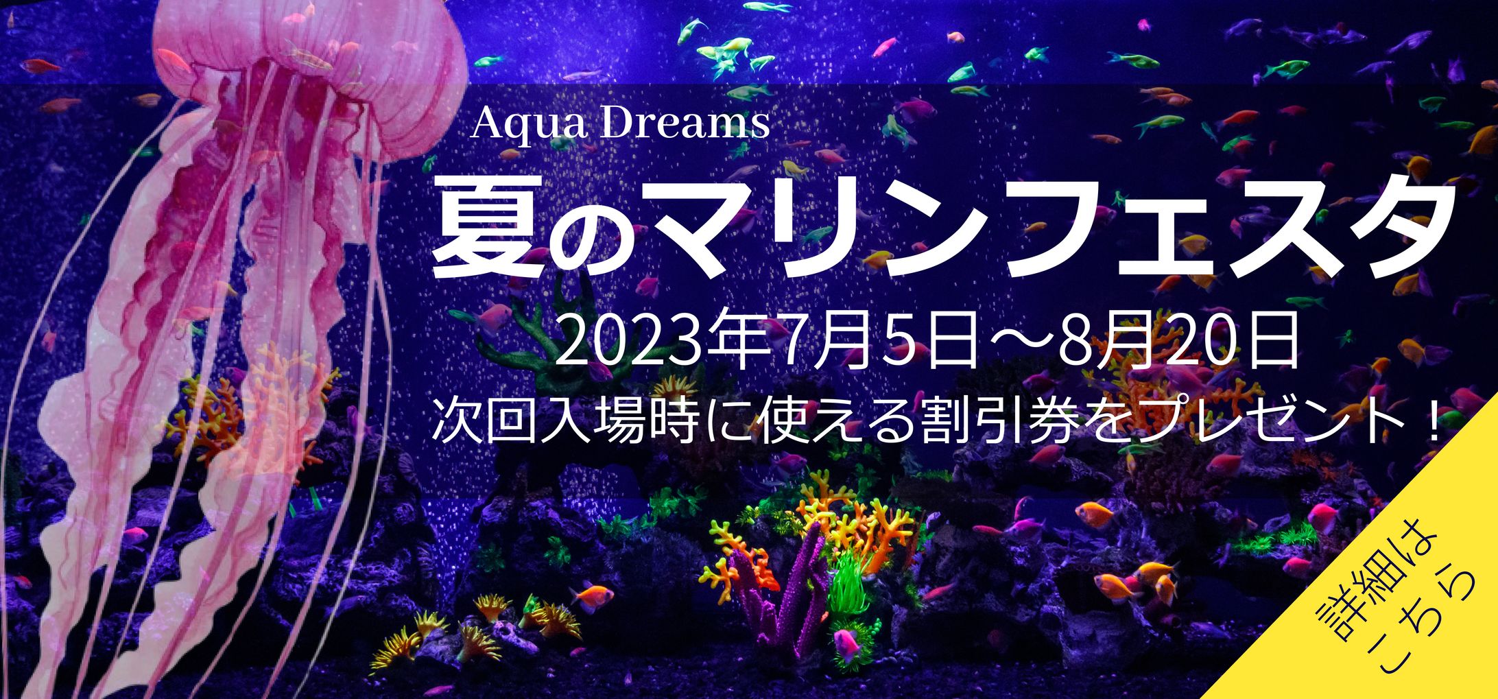 水族館　広告バナー-1
