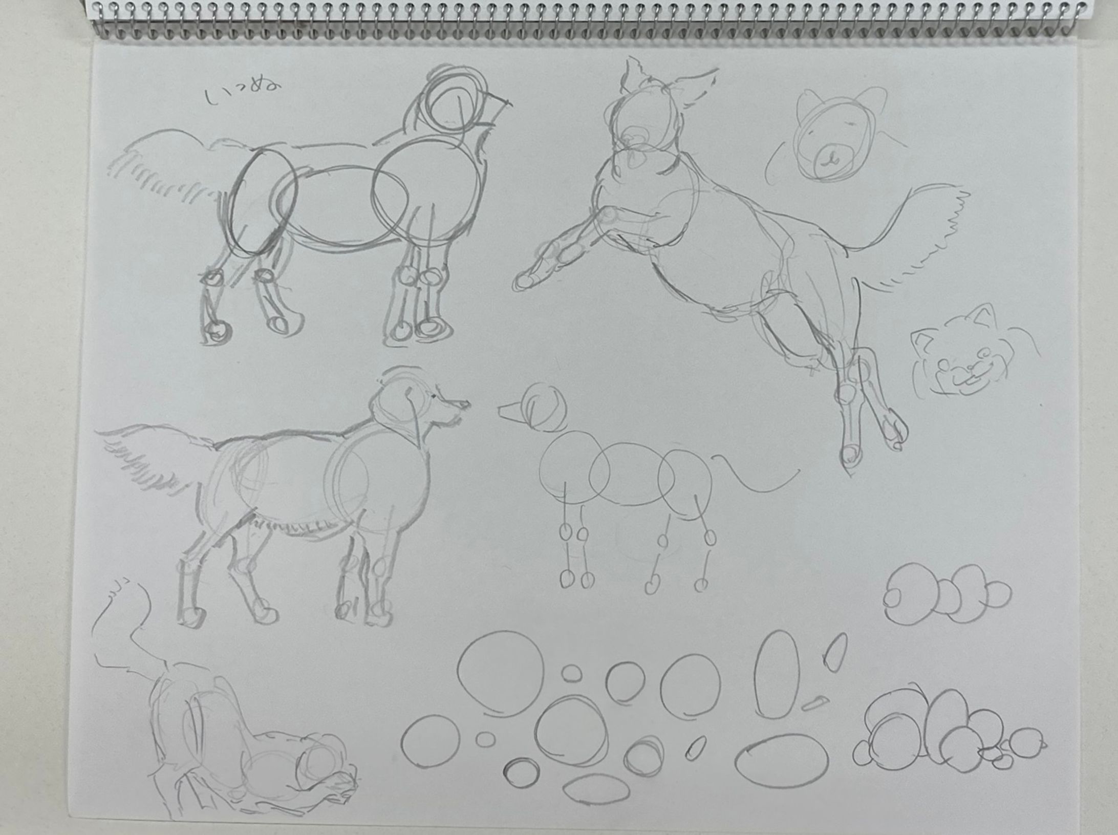 【スケッチ】動物-1