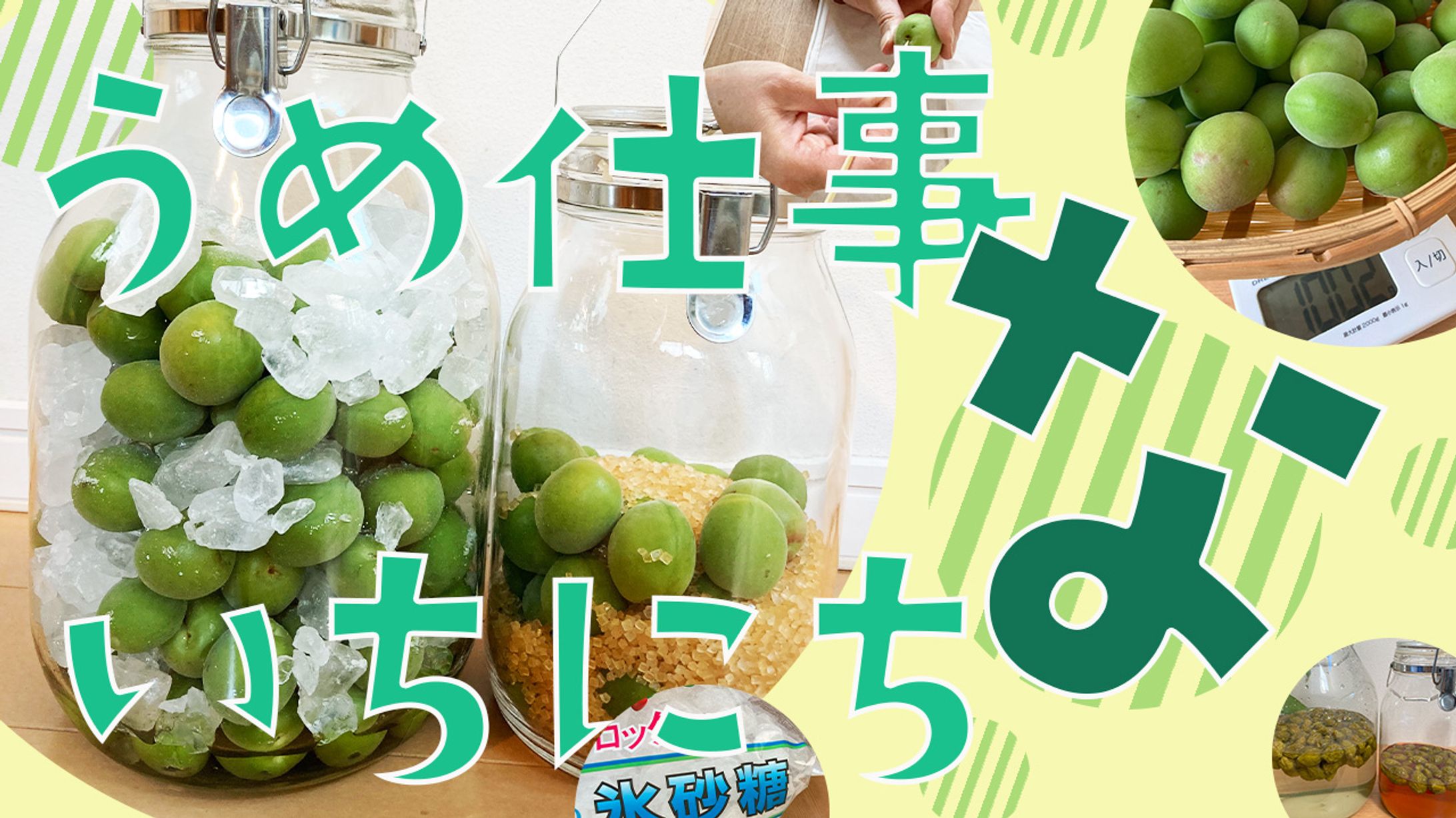 梅シロップ　【サンプル】-1