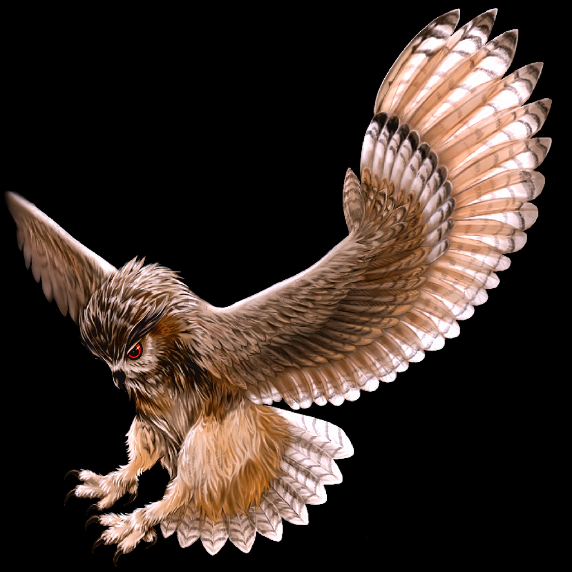 アートイッピ　テーマ『フクロウ』-1