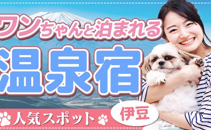 リザルトフレーム、vlog・日常