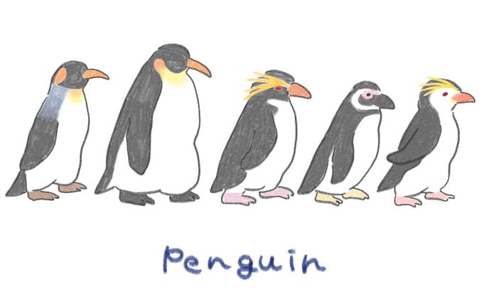 ペンギン