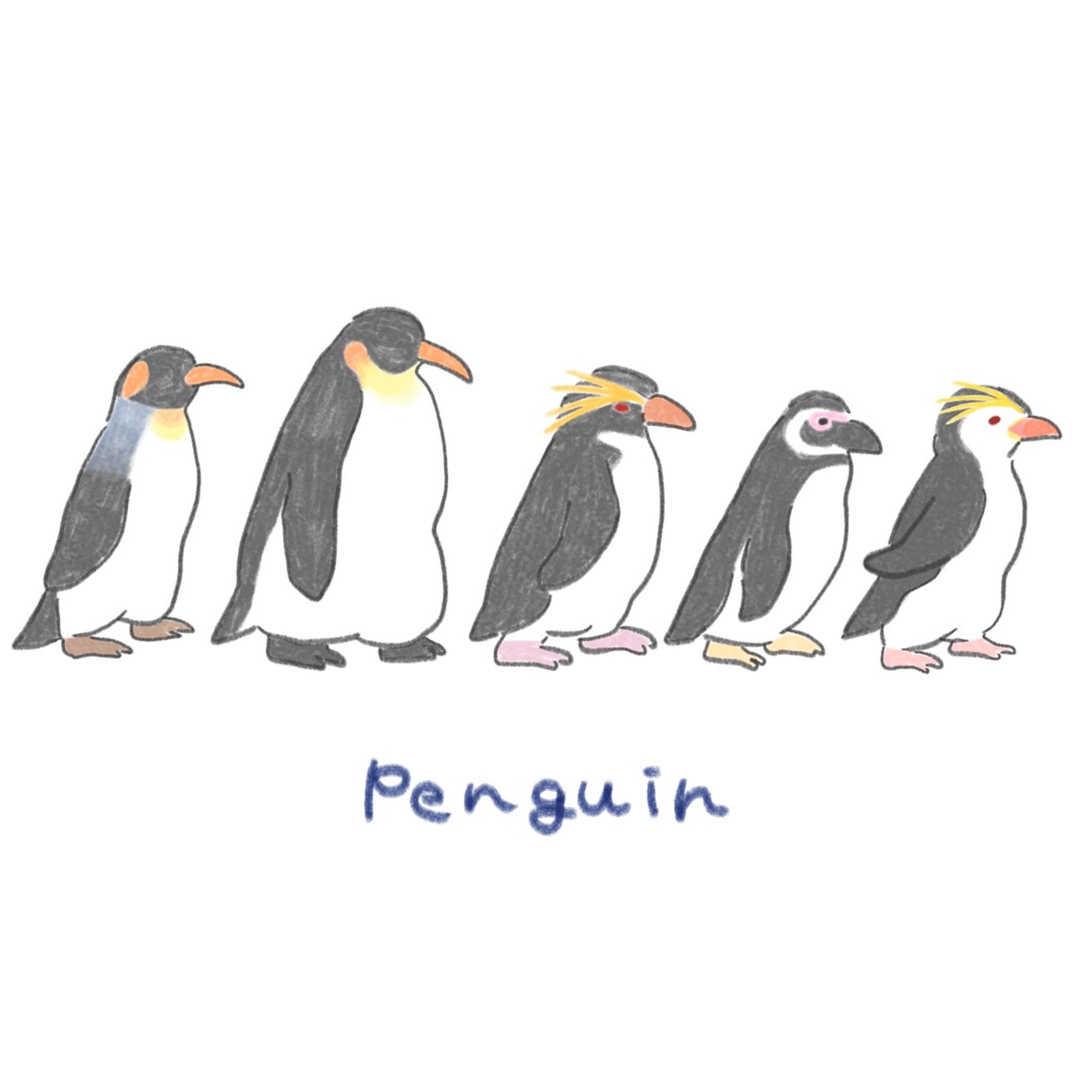 ペンギン-1
