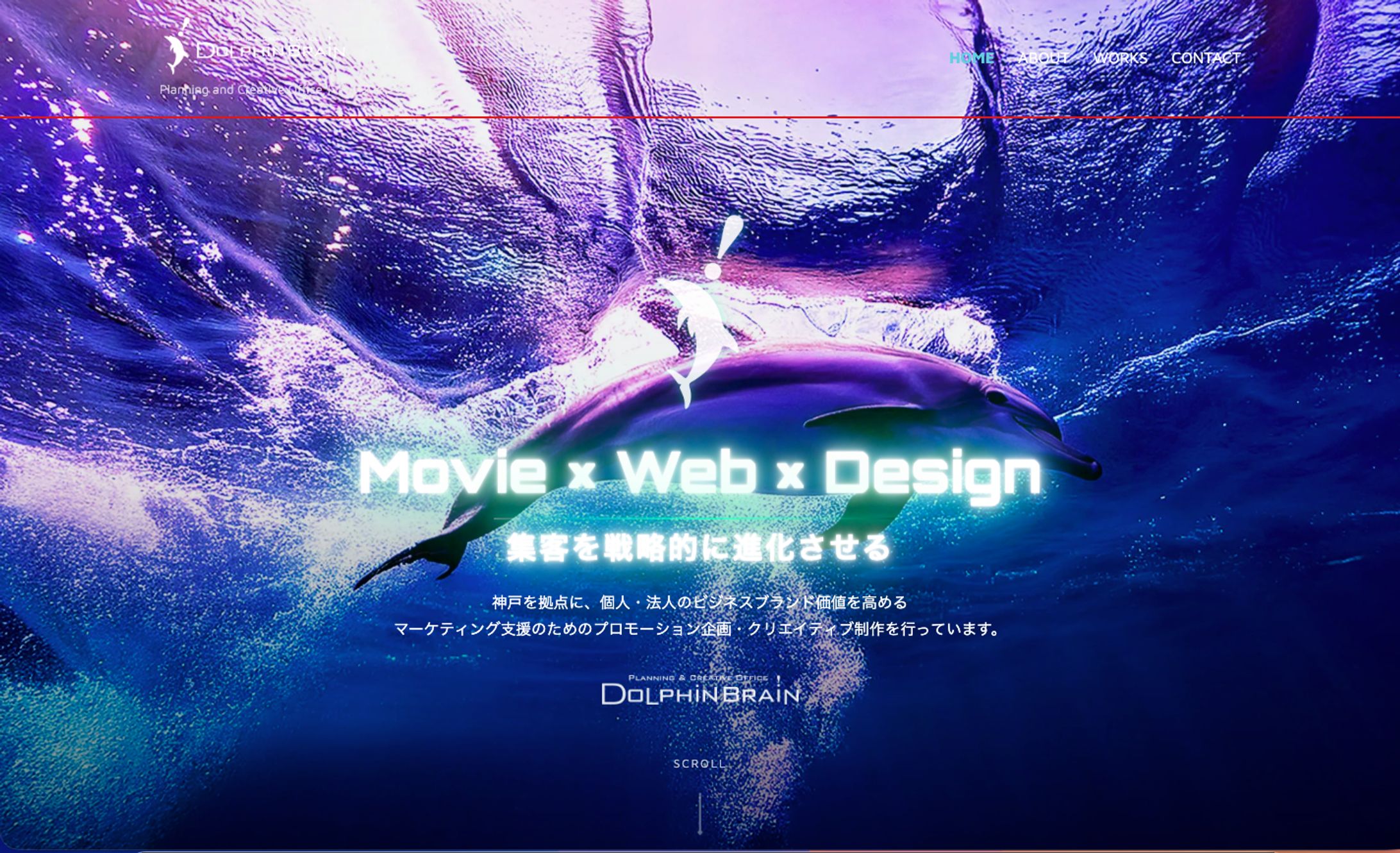 DOLPHINBRAIN Website-1