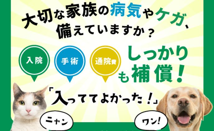 vroid、販促物