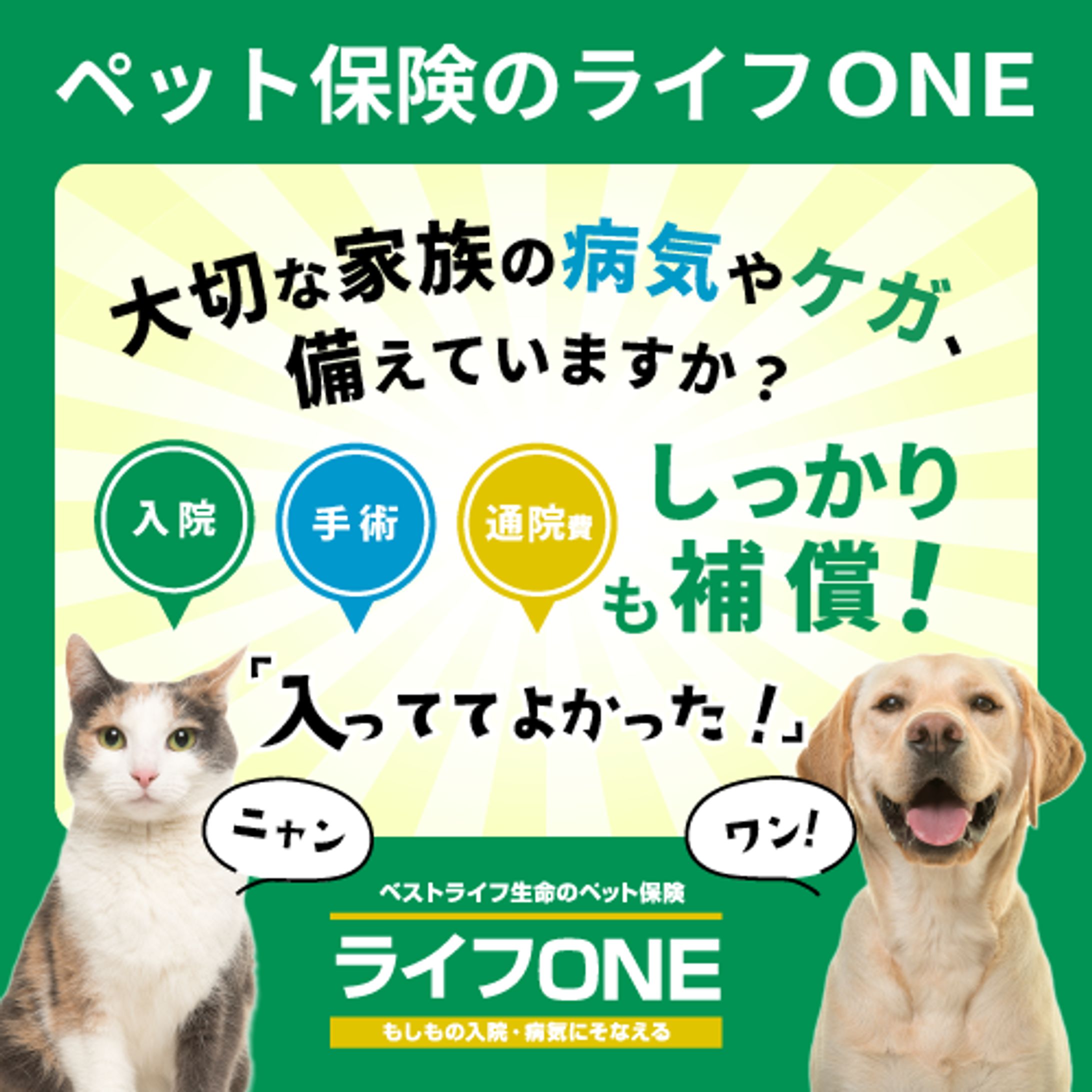 ペット保険販促バナー-1