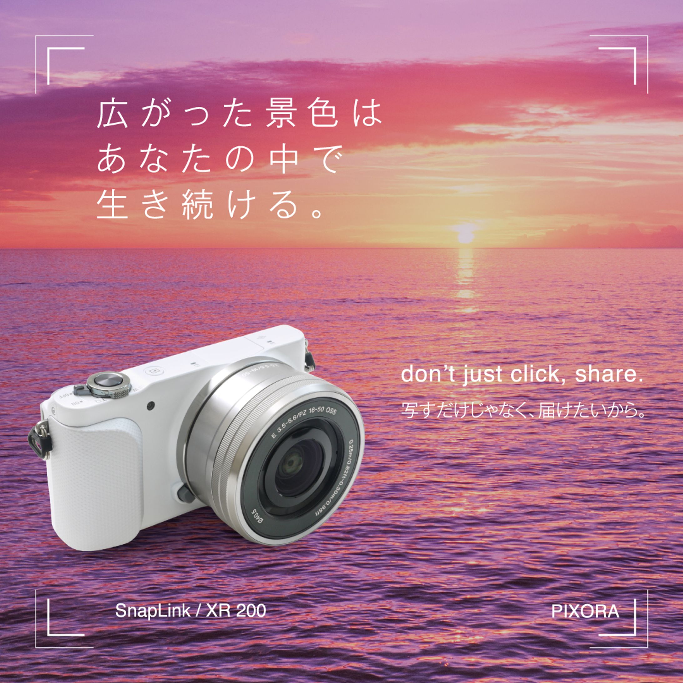 カメラバナー-1