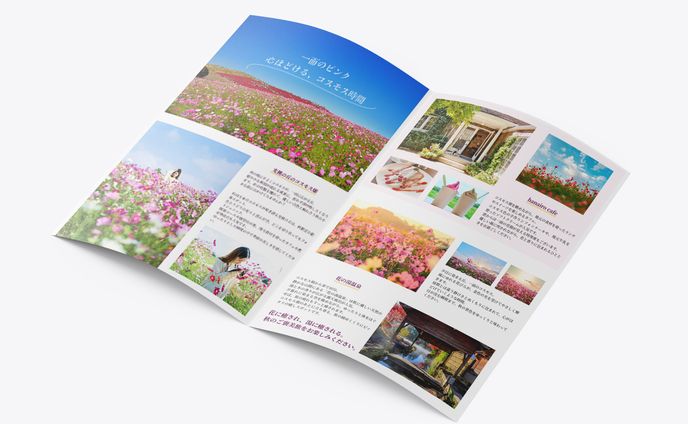 コスモス畑　パンフレット