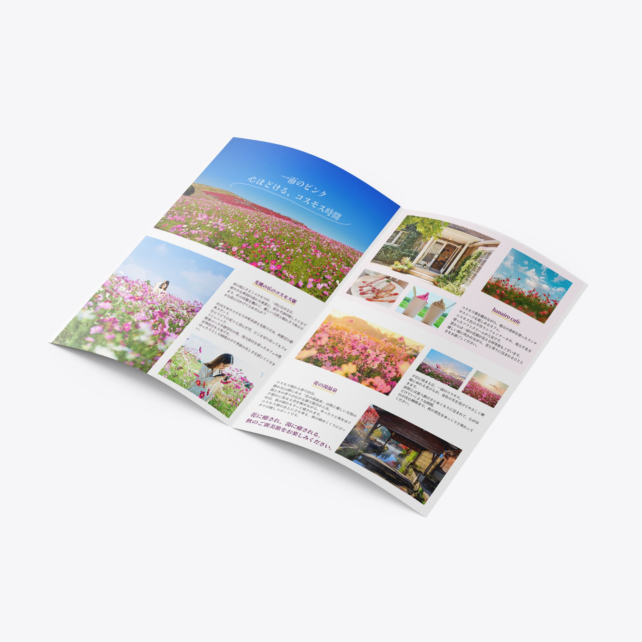 コスモス畑　パンフレット-1