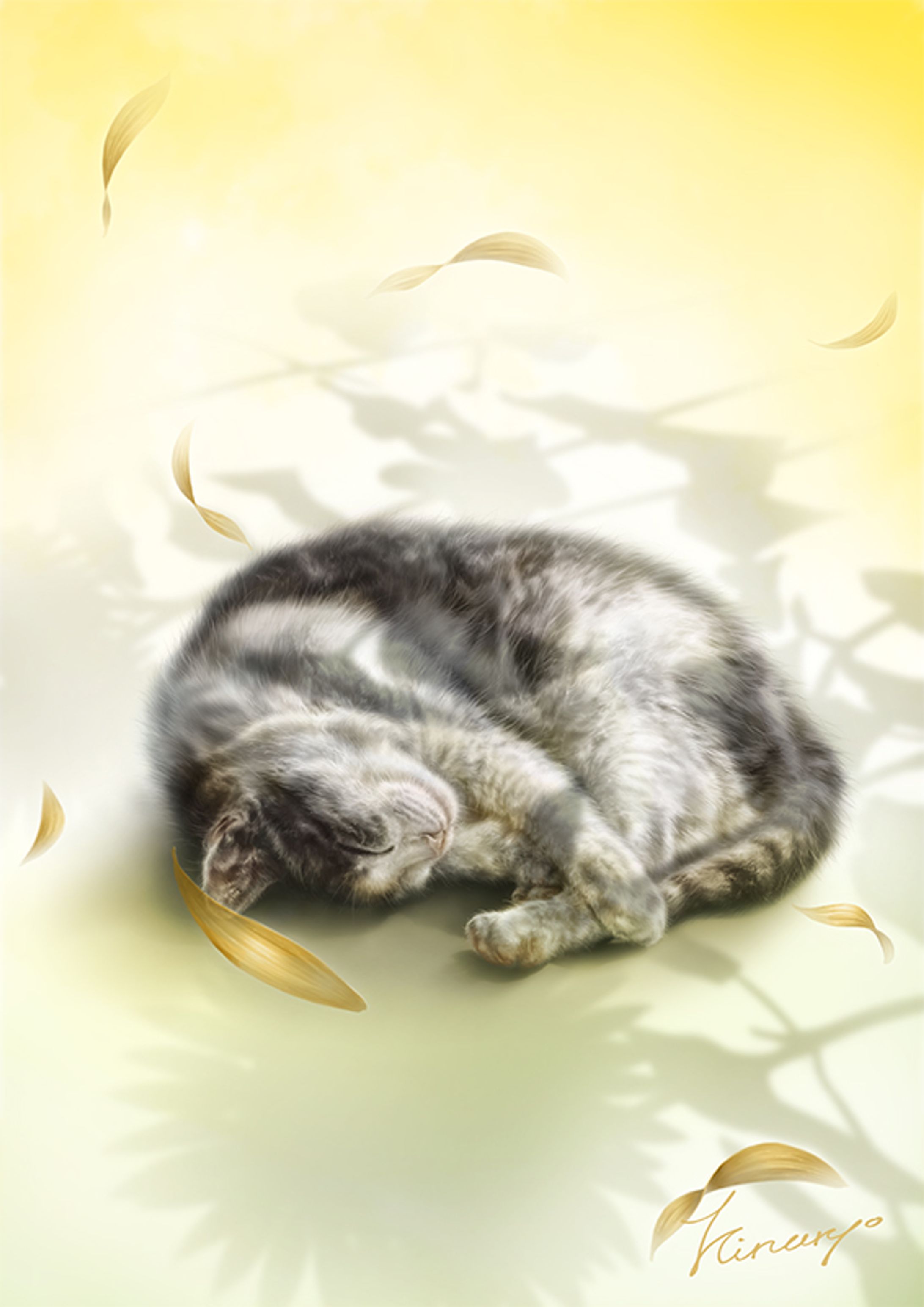 陽色の風-1