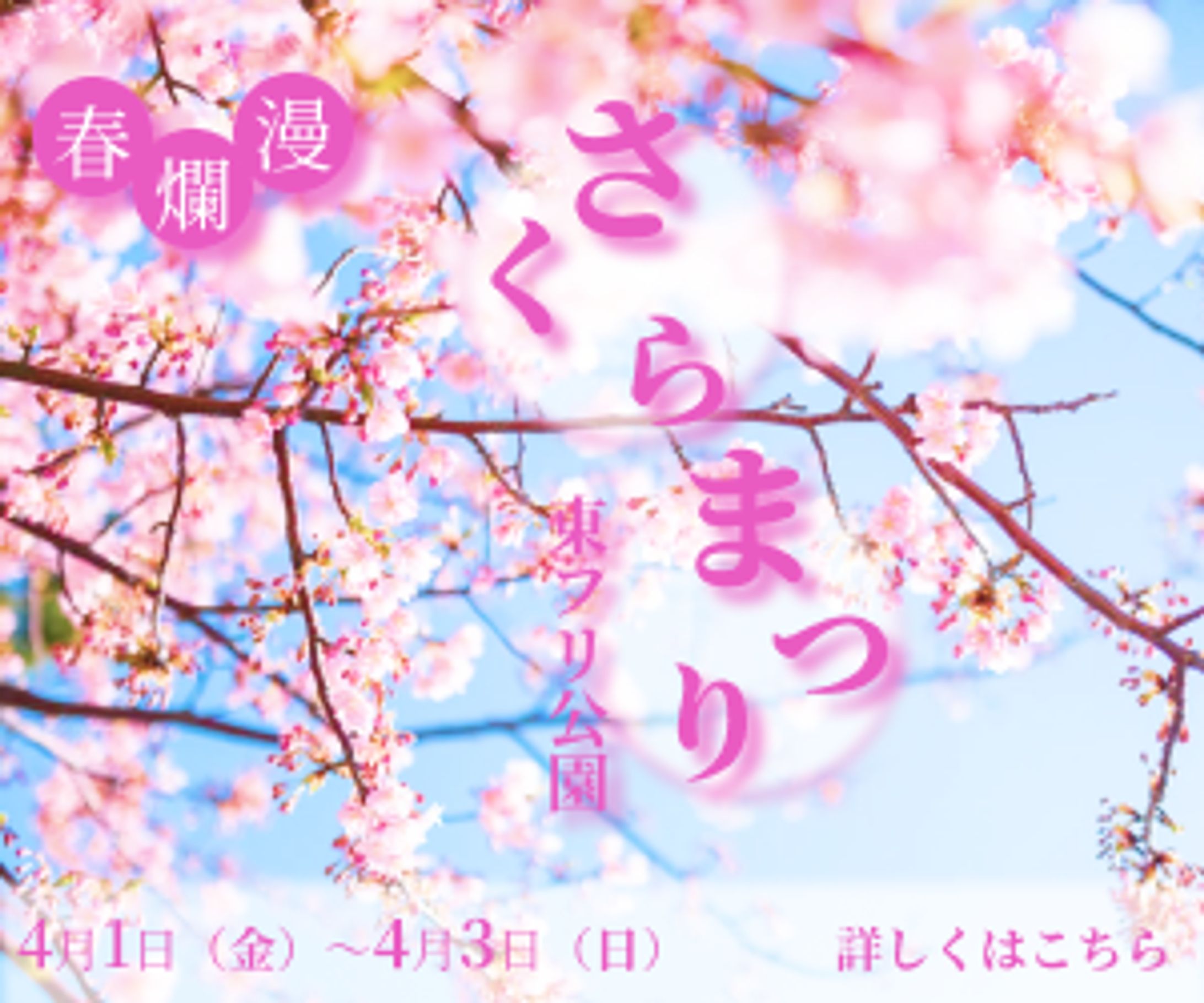 架空バナー（さくらまつり）-1