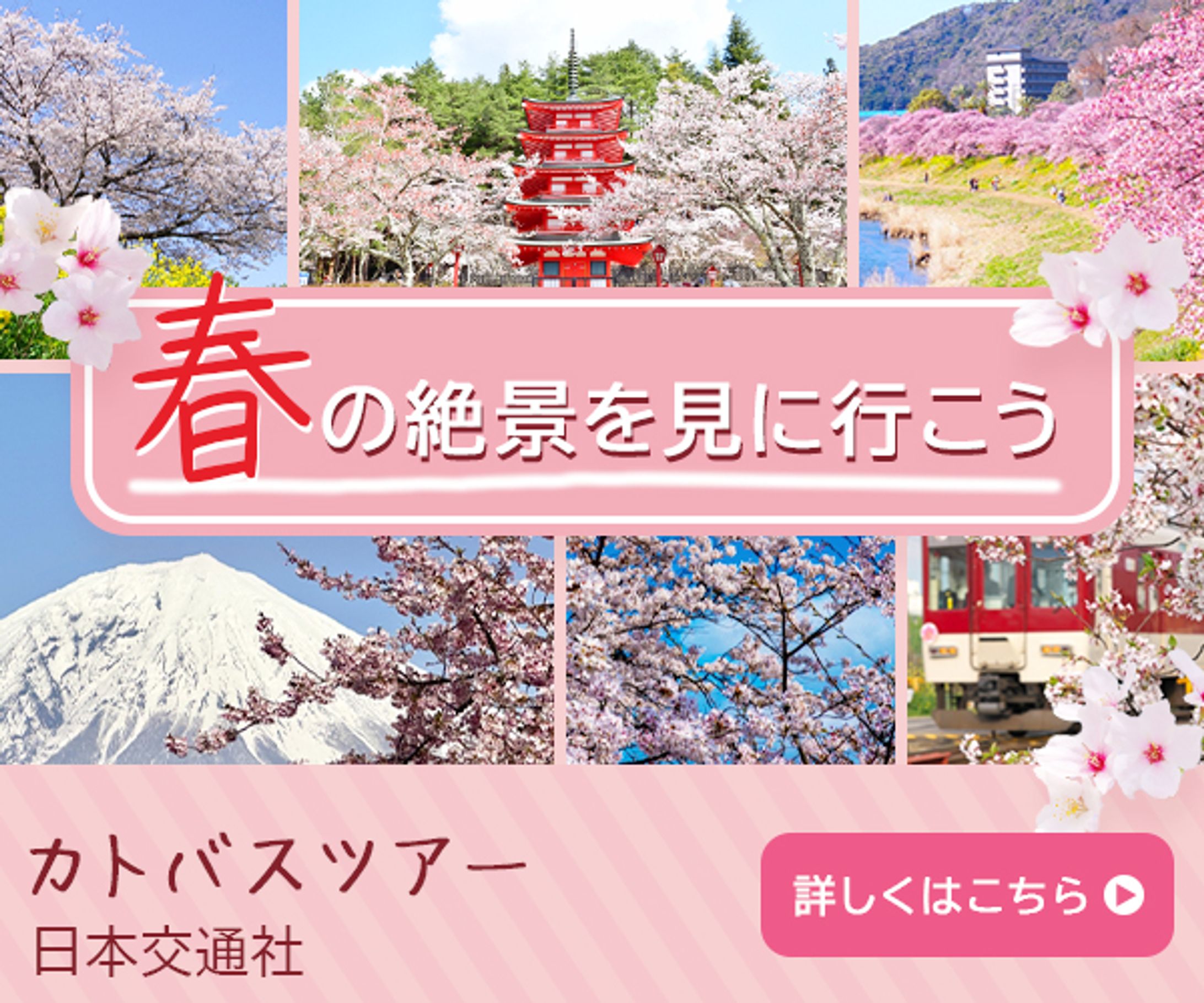 バナー　バスツアー-1