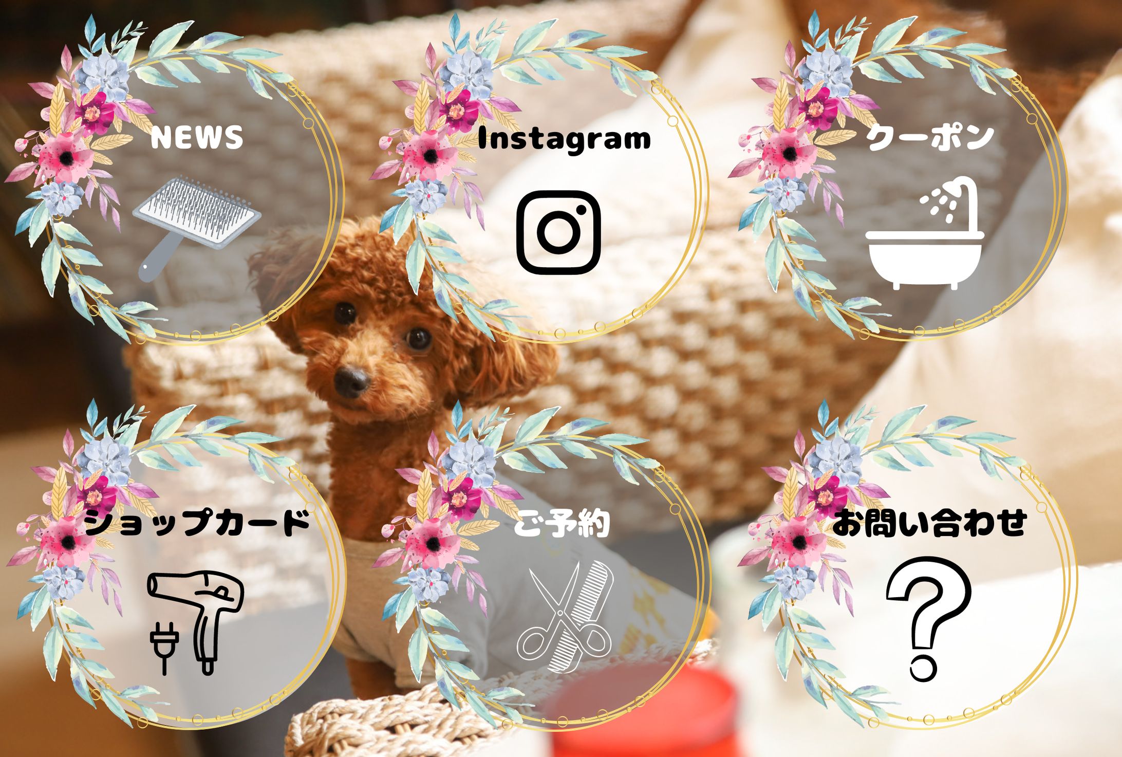 ペットサロン　LINEリッチメニュー-1