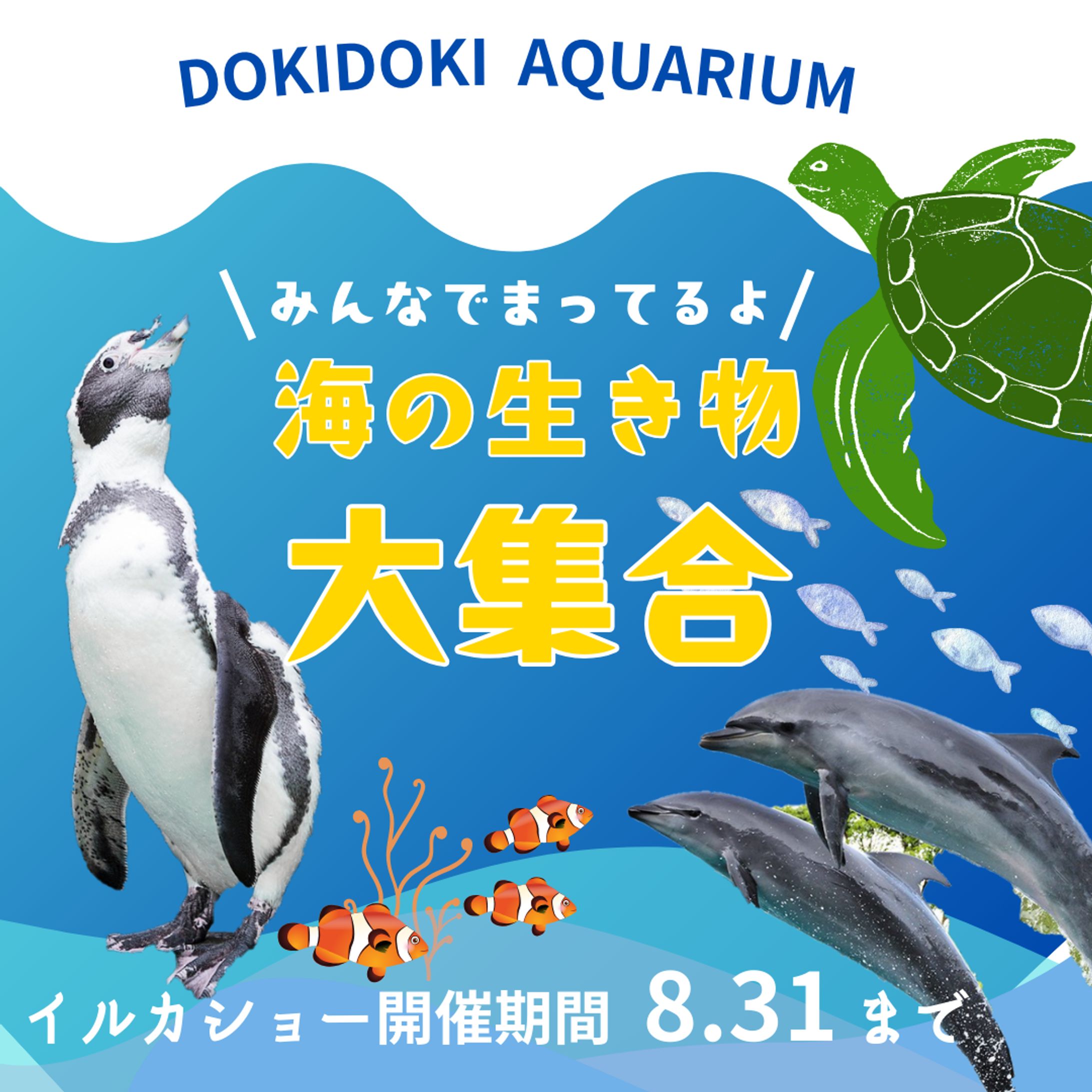 DOKIDOKI AQUARIUM　バナー-1