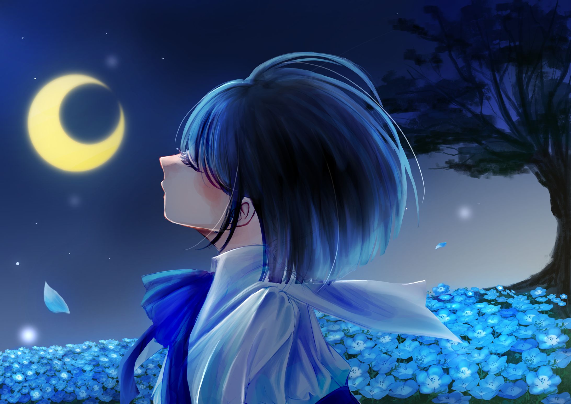 1枚絵、アイコン-1