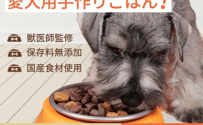 ペットフード通販会社 無添加ドッグフード バナー（架空）