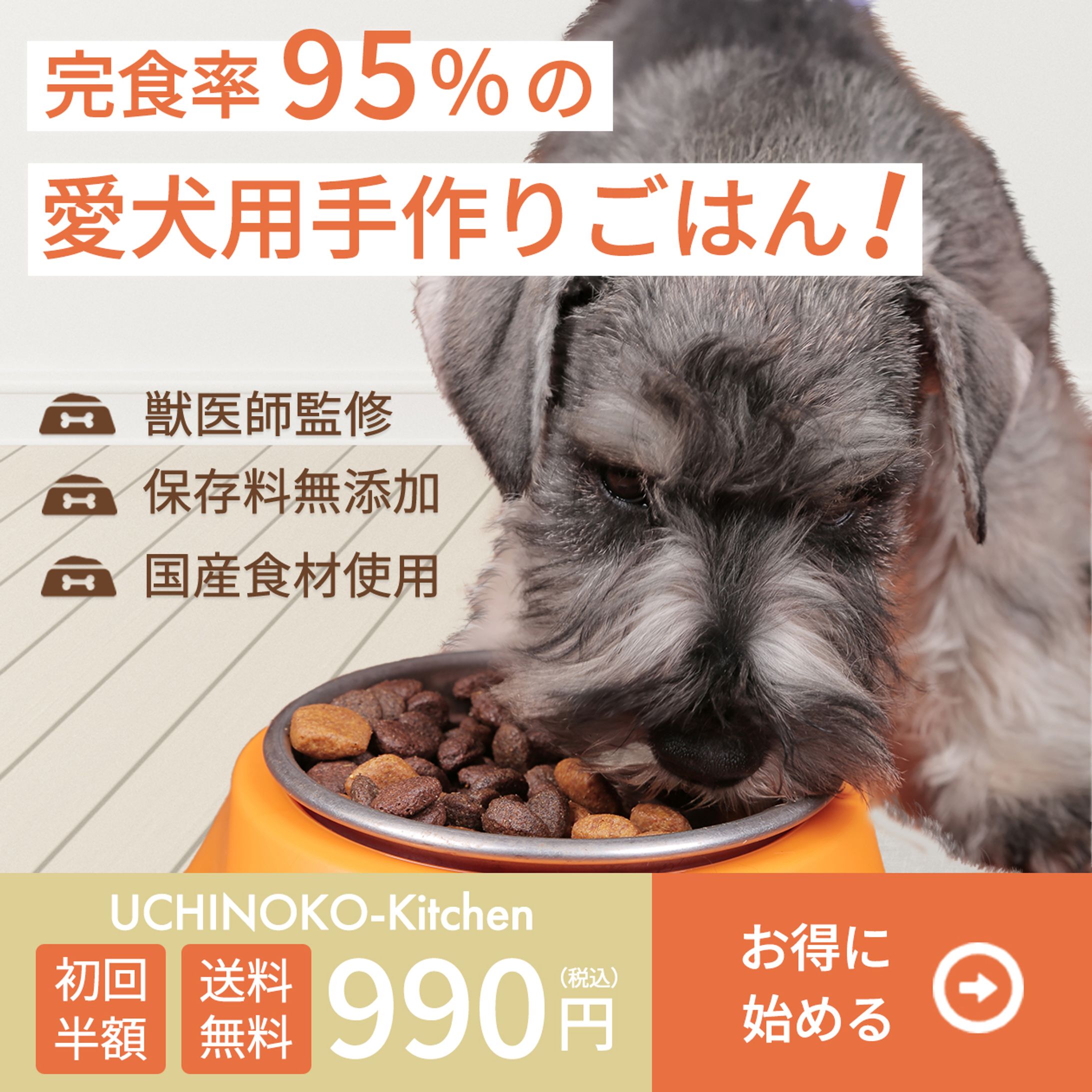 ペットフード通販会社 無添加ドッグフード バナー（架空）-1