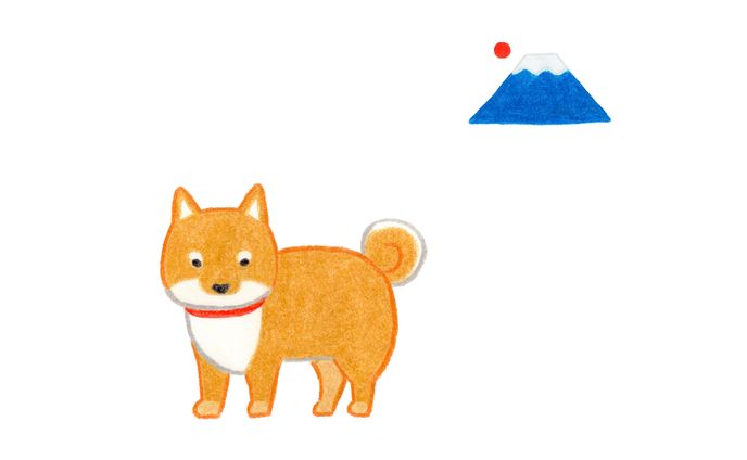works、柴犬