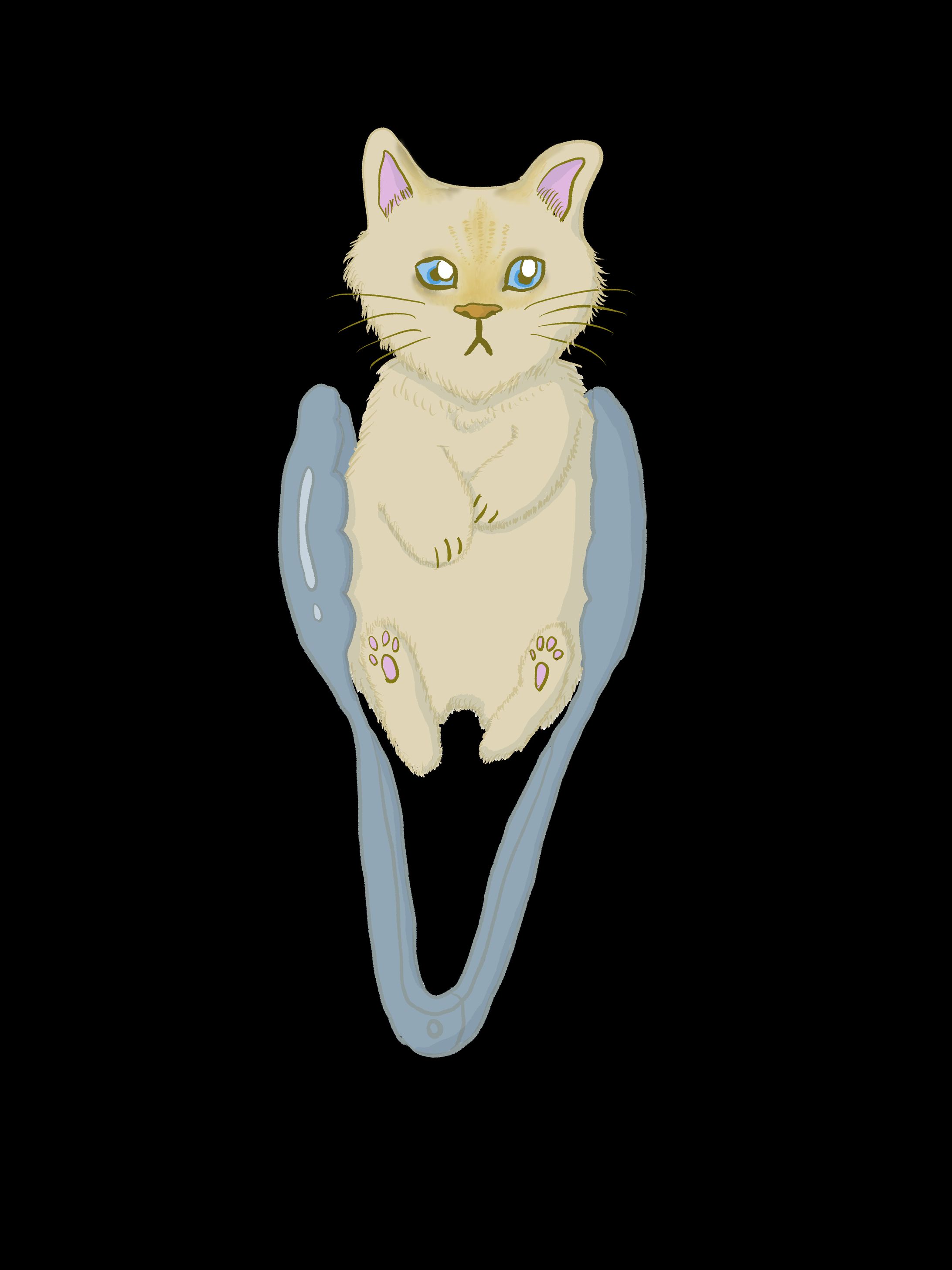 トング猫 -1