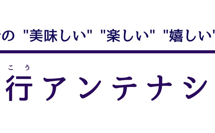 illustrator、店舗紹介