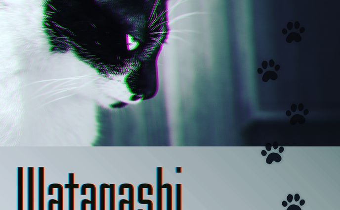 Book cover_free cat